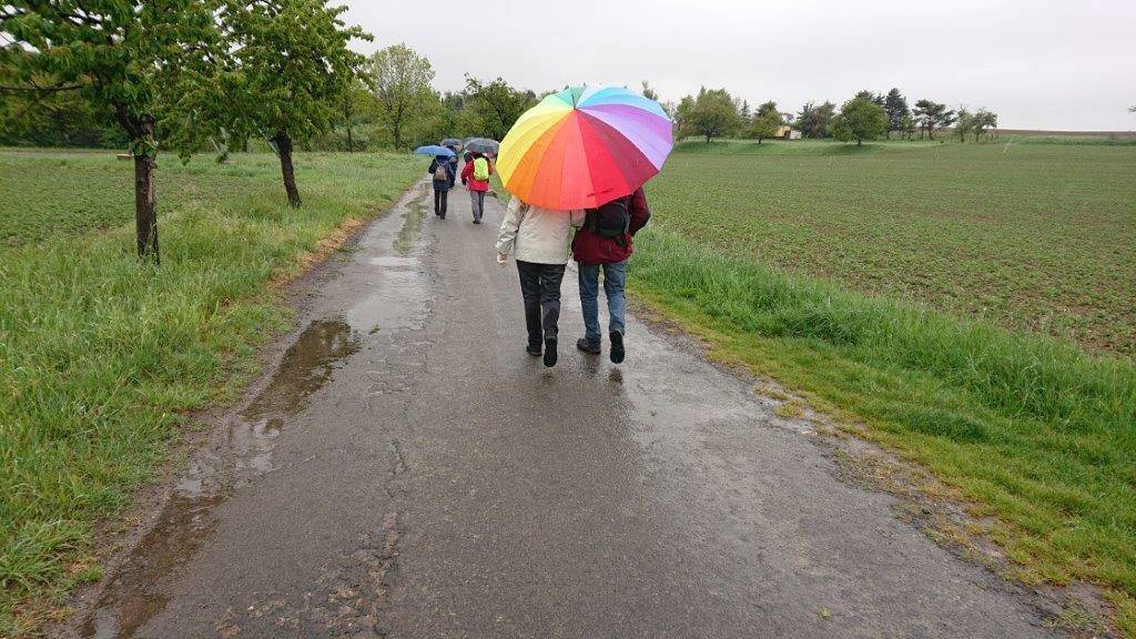 m_maiwanderung-2019-berneis | Kath. Pfarrei Selige Märtyrer vom Münchner Platz - Aktuelles St. Antonius - Ab in die Natur ...