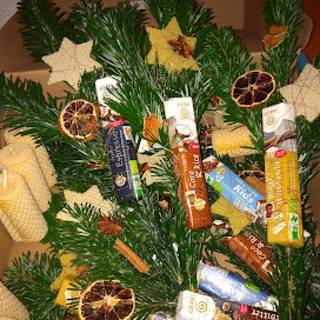 s_image-10 | Kath. Pfarrei Selige Märtyrer vom Münchner Platz - St. Paulus - Plauen