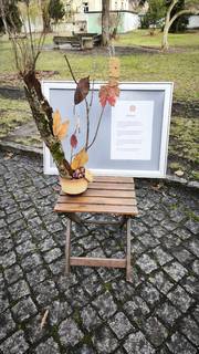 s_img_20251130_111455 | Kath. Pfarrei Selige Märtyrer vom Münchner Platz - Adventskalender - 1. Dezember 2025