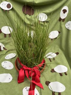 s_img_3012 | Kath. Pfarrei Selige M&auml;rtyrer vom M&uuml;nchner Platz - Adventskalender - 22. Dezember 2025