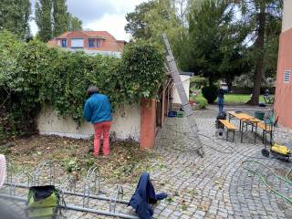 s_img_4104 | Kath. Pfarrei Selige Märtyrer vom Münchner Platz - Aktuelles St. Paulus - Schnecke wiedergefunden -