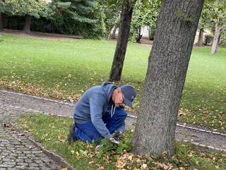 s_img_4116 | Kath. Pfarrei Selige Märtyrer vom Münchner Platz - Aktuelles St. Paulus - Schnecke wiedergefunden -