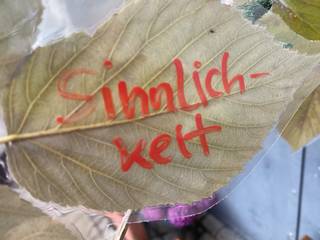 s_img_7484 | Kath. Pfarrei Selige Märtyrer vom Münchner Platz - Adventskalender - 3. Dezember 2025