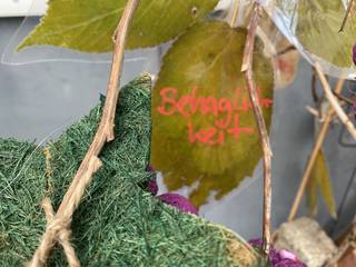 s_img_7485 | Kath. Pfarrei Selige Märtyrer vom Münchner Platz - Adventskalender - 3. Dezember 2025