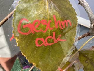 s_img_7486 | Kath. Pfarrei Selige Märtyrer vom Münchner Platz - Adventskalender - 3. Dezember 2025