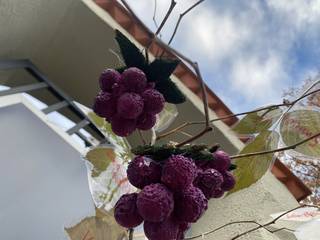 s_img_7487 | Kath. Pfarrei Selige Märtyrer vom Münchner Platz - Adventskalender - 3. Dezember 2025