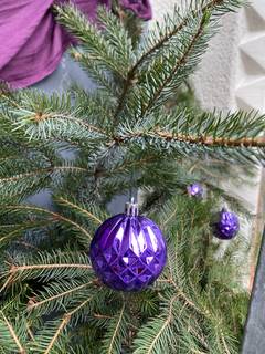 s_img_7637 | Kath. Pfarrei Selige M&auml;rtyrer vom M&uuml;nchner Platz - Adventskalender - 20. Dezember 2025