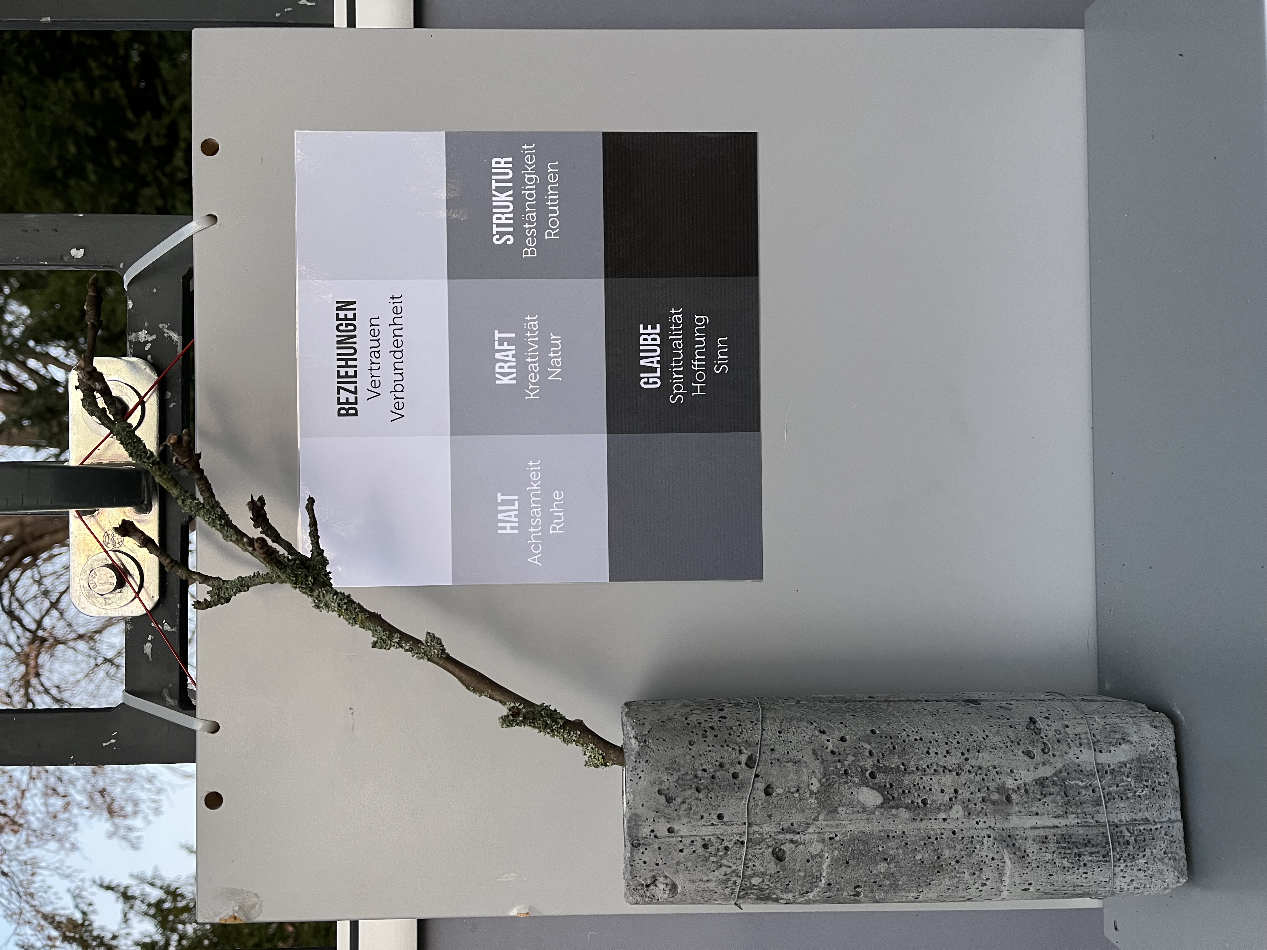 img_2880-1 | Kath. Pfarrei Selige Märtyrer vom Münchner Platz - Adventskalender