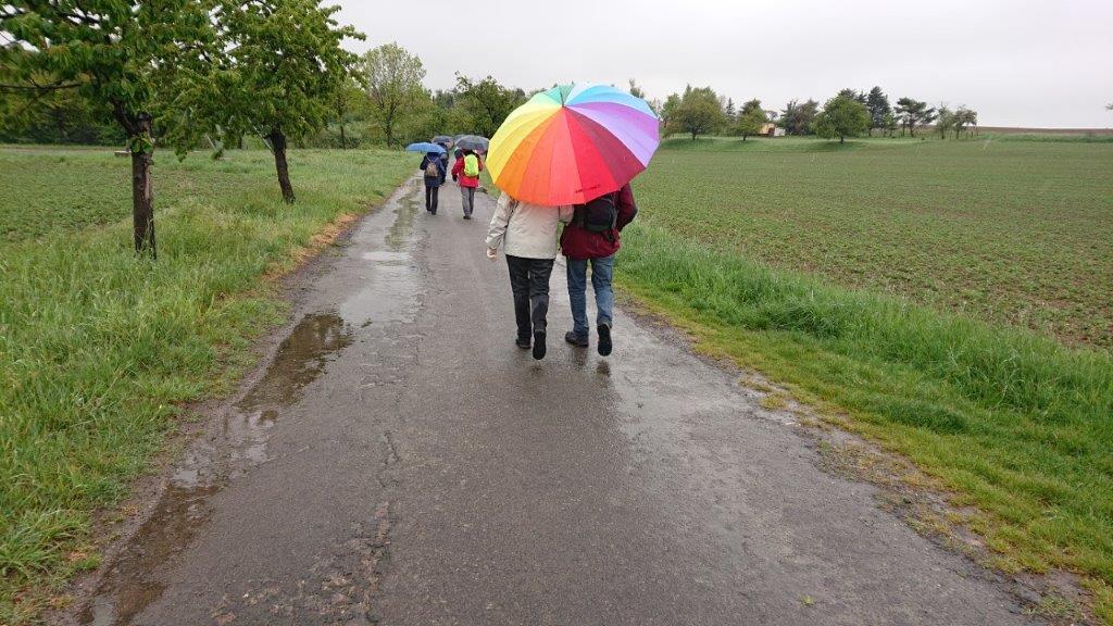 maiwanderung-2019-berneis | Kath. Pfarrei Selige Märtyrer vom Münchner Platz - Aktuelles